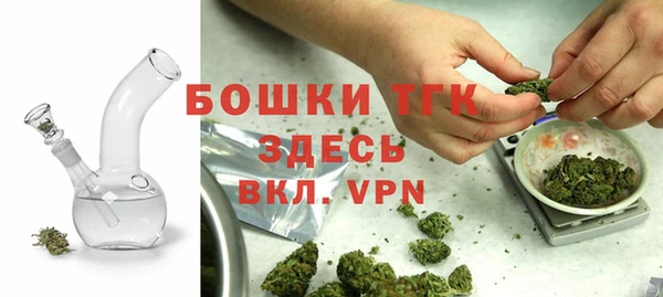 прущие грибы Липки