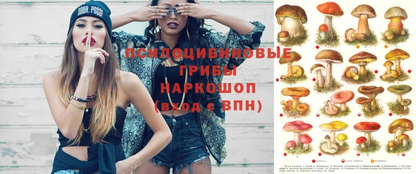 прущая мука Лиски