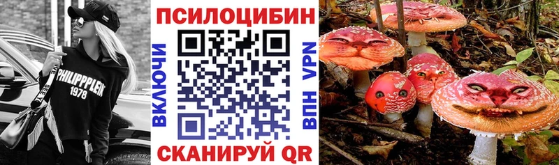 Псилоцибиновые грибы мицелий  мега зеркало  Йошкар-Ола 